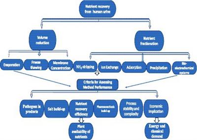 Eco-friendly and sustainability assessment of technologies for nutrient recovery from human urine—a review